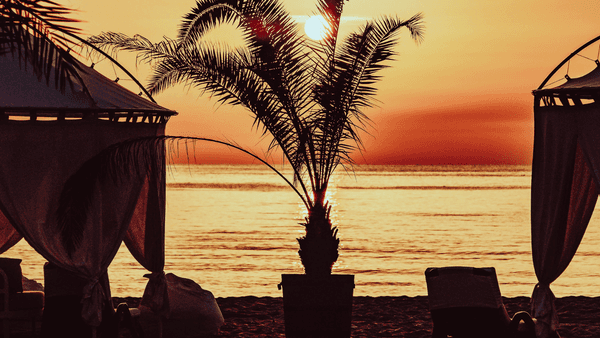 A Digital Story for an Entire Resort